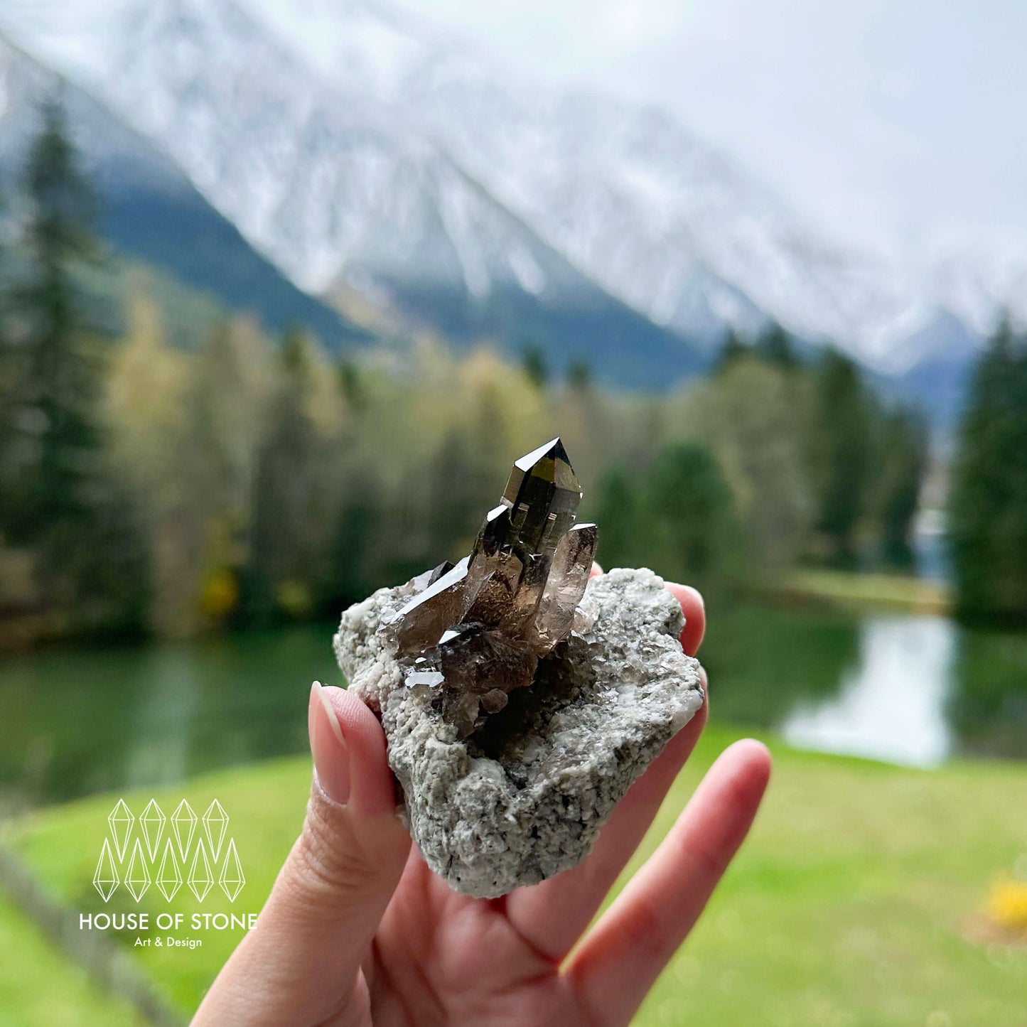 Swiss Smoky Quartz Cluster with Matrix Specimen/Switzerland Smoky Quartz Cluster Apls Specimen/Alpine Mineral/Crystal Cluster with Matrix