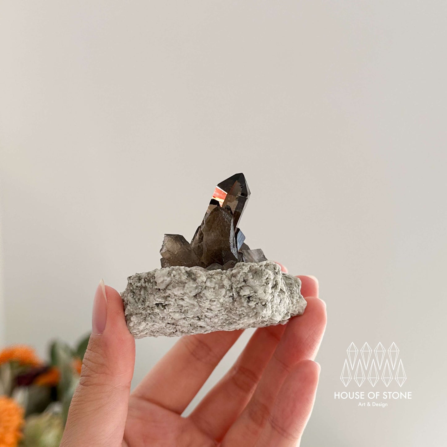 Swiss Smoky Quartz Cluster with Matrix Specimen/Switzerland Smoky Quartz Cluster Apls Specimen/Alpine Mineral/Crystal Cluster with Matrix