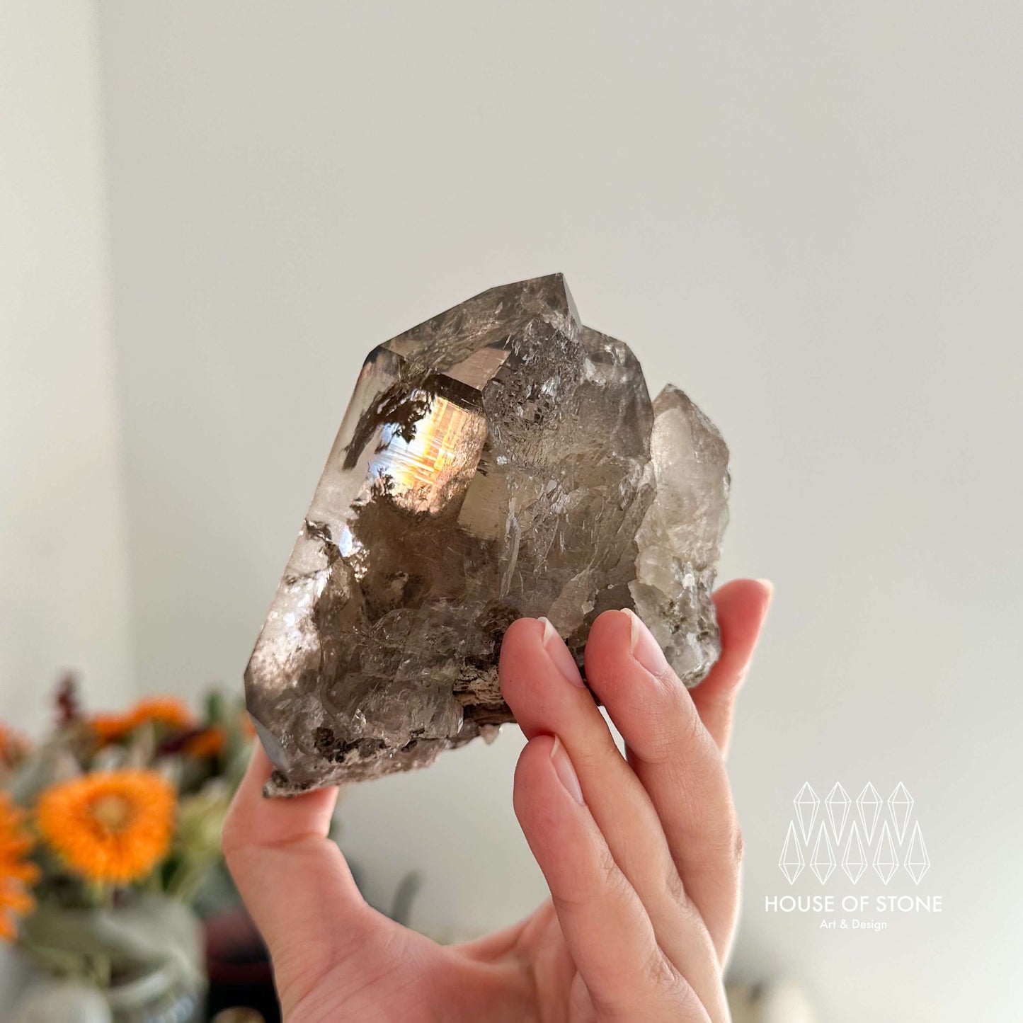 Apls Faden Quartz Specimen/Alpine Mineral Smoky Quartz/Adularia Quartz Chlorite Cluster/Chamonix-Mont-Blanc Mini Cluster/France