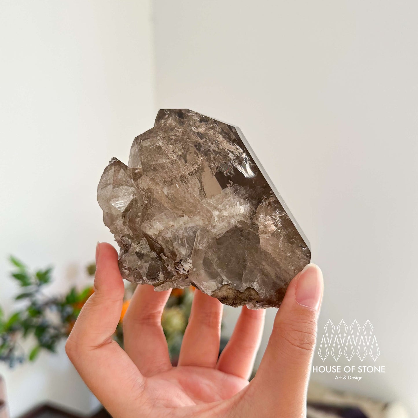 Apls Faden Quartz Specimen/Alpine Mineral Smoky Quartz/Adularia Quartz Chlorite Cluster/Chamonix-Mont-Blanc Mini Cluster/France