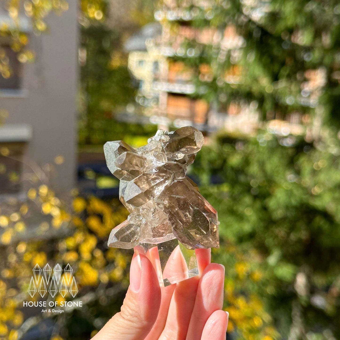 Alpine Mineral Small Swiss Faden Smoky Quartz Specimen/Switzerland Faden Quartz Apls