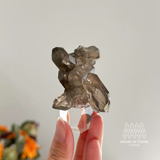 Alpine Mineral Small Swiss Faden Smoky Quartz Specimen/Switzerland Faden Quartz Apls