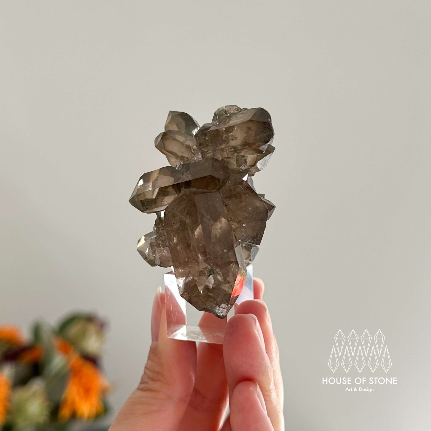 Alpine Mineral Small Swiss Faden Smoky Quartz Specimen/Switzerland Faden Quartz Apls