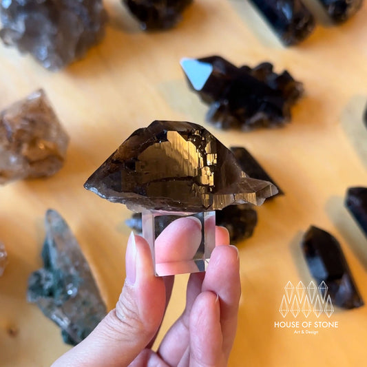 Alpine Mineral Swiss Gwindel Dark Smoky Quartz Specimen/Switzerland Gwindel Apls Crystal