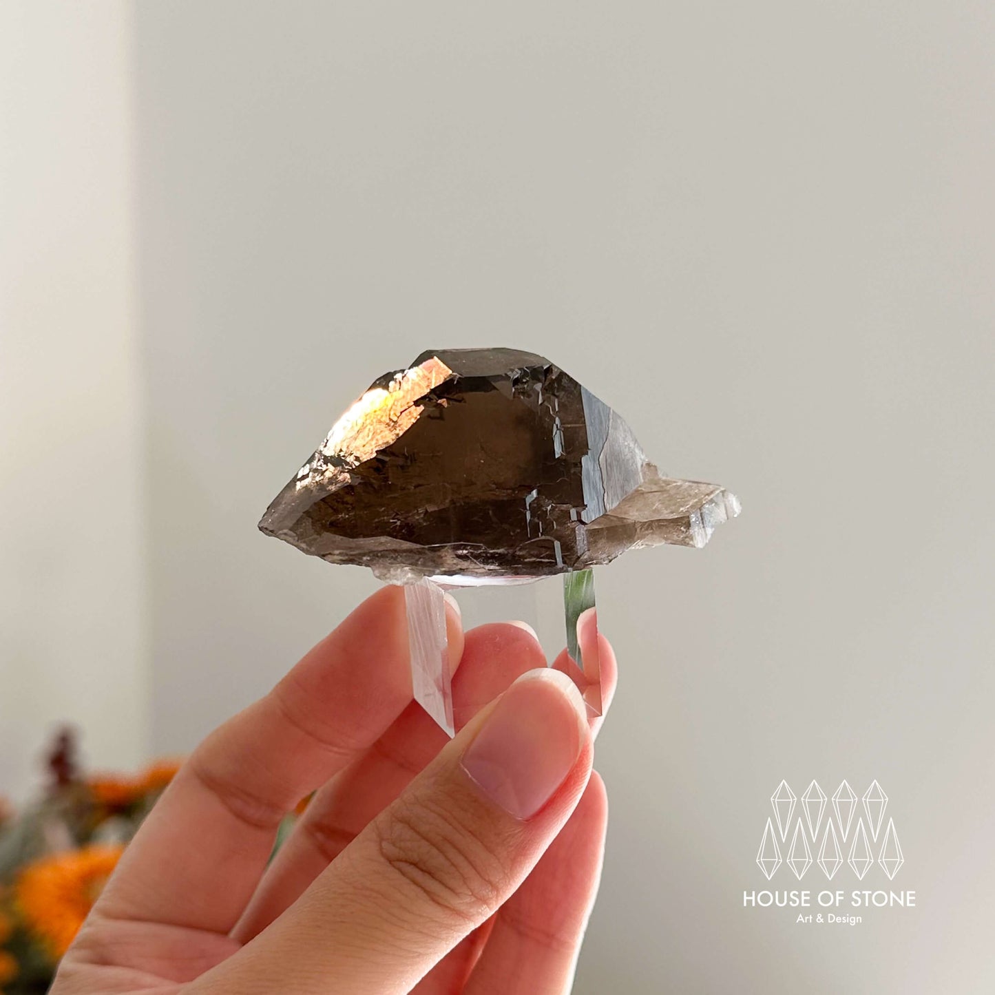 Alpine Mineral Swiss Gwindel Dark Smoky Quartz Specimen/Switzerland Gwindel Apls Crystal