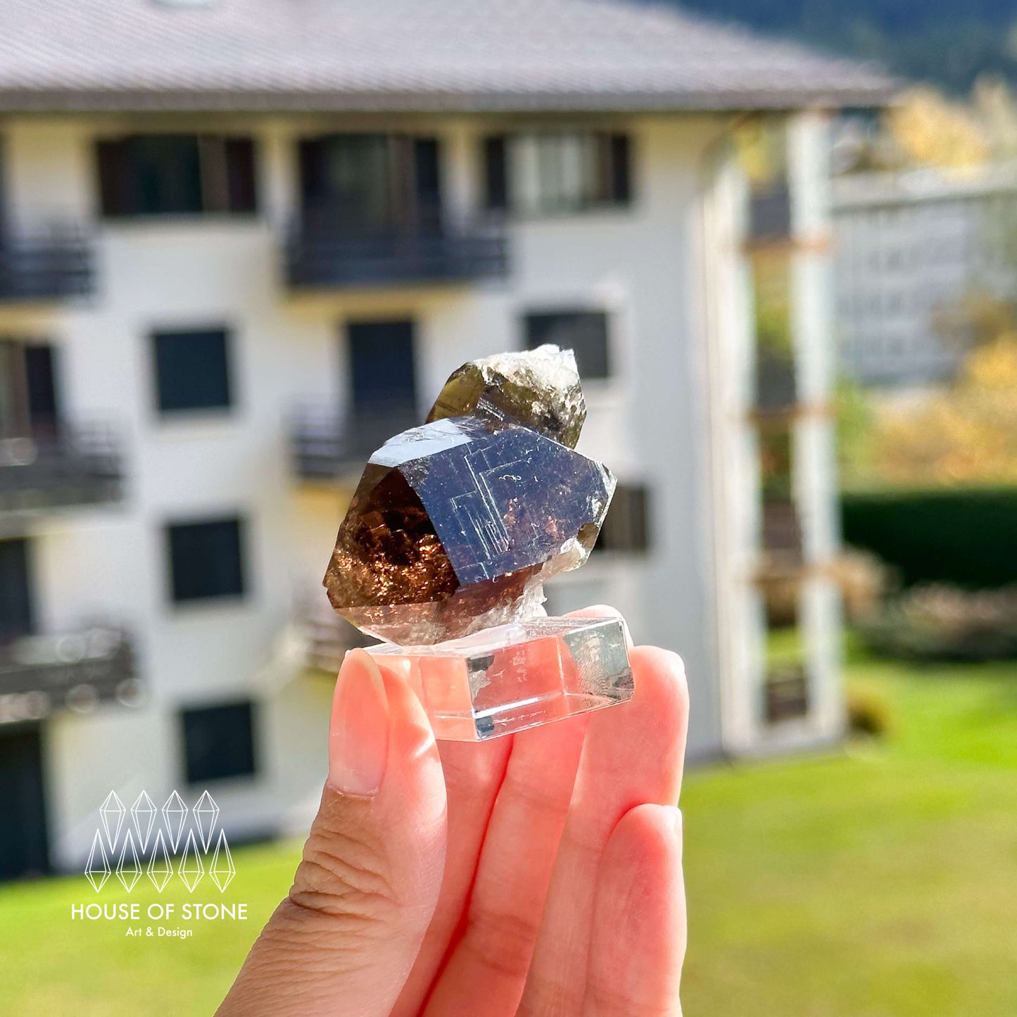 Alpine Mineral Swiss Gwindel Dark Smoky Quartz Specimen/Switzerland Gwindel Apls Crystal