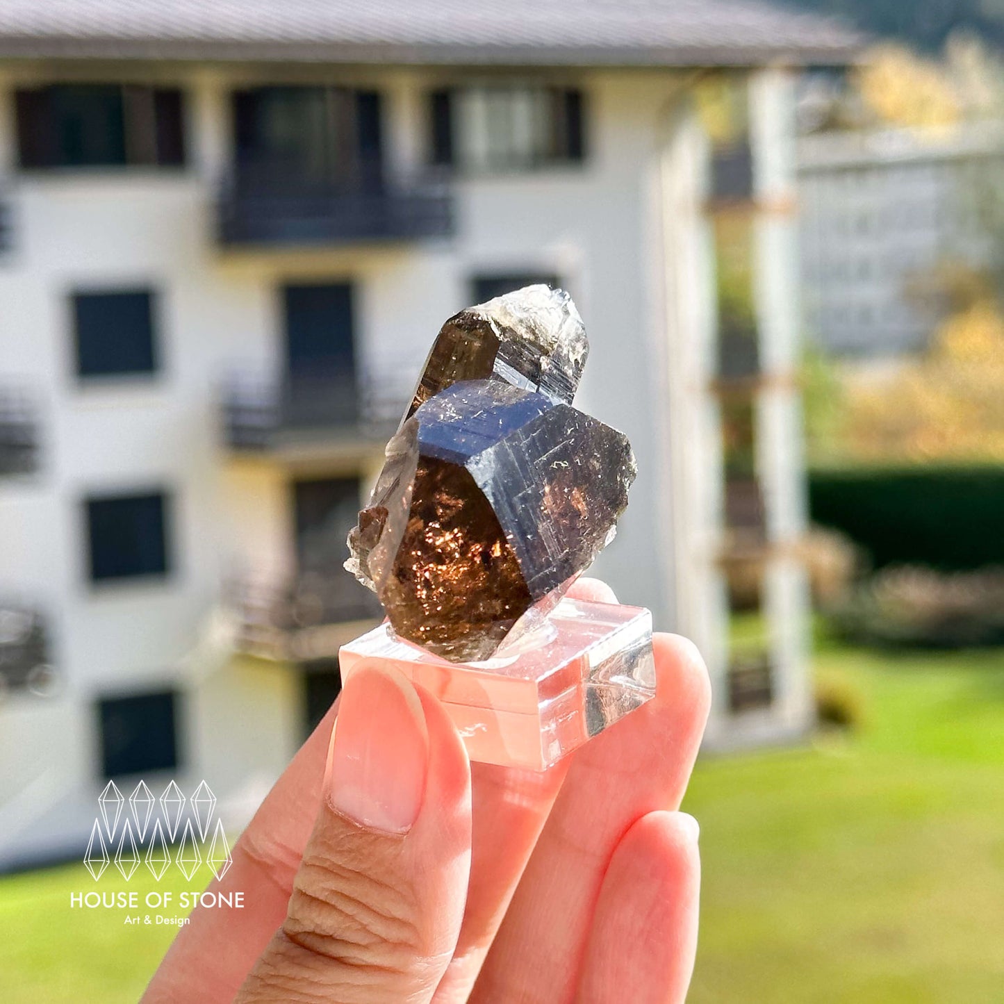 Alpine Mineral Swiss Gwindel Dark Smoky Quartz Specimen/Switzerland Gwindel Apls Crystal