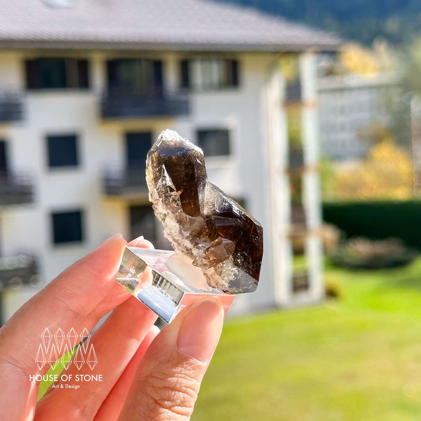 Alpine Mineral Swiss Gwindel Dark Smoky Quartz Specimen/Switzerland Gwindel Apls Crystal