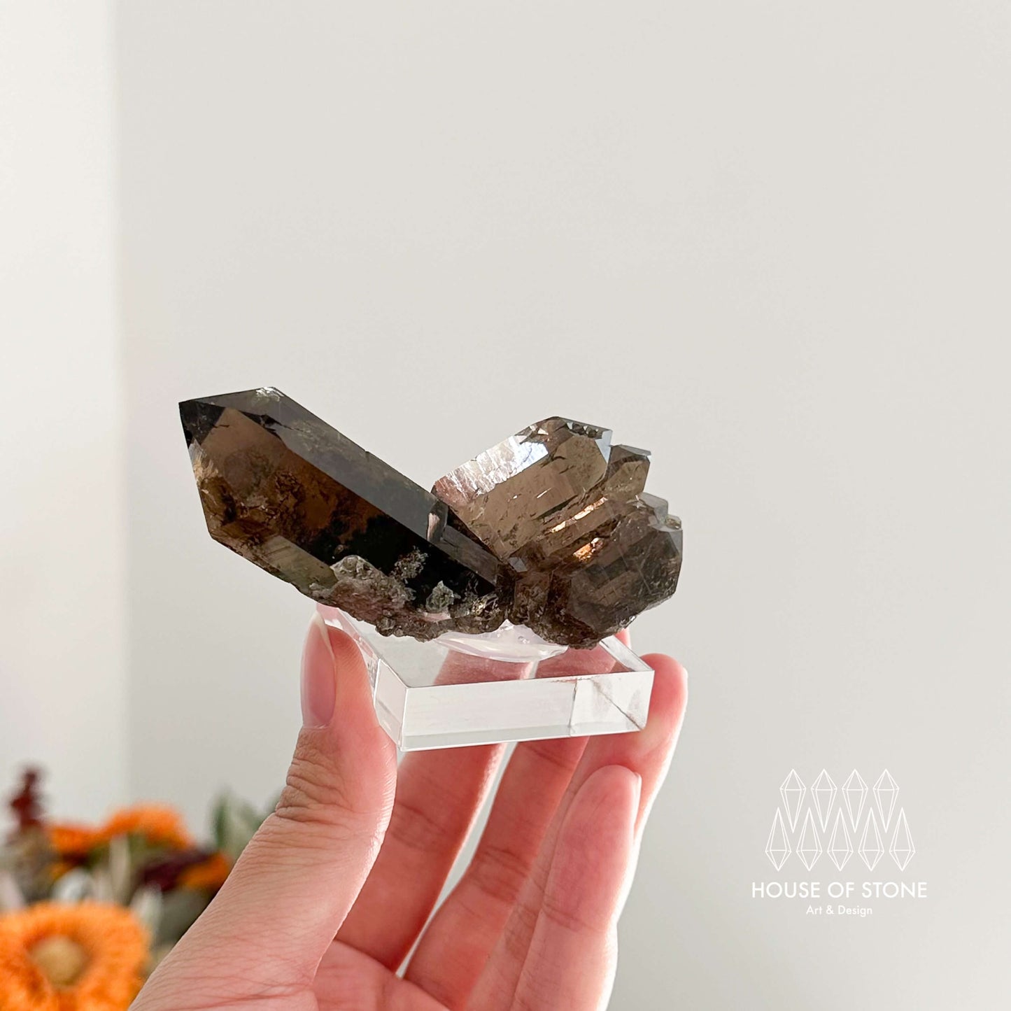 Alpine Mineral Swiss Gwindel Dark Smoky Quartz Specimen/Switzerland Gwindel Apls