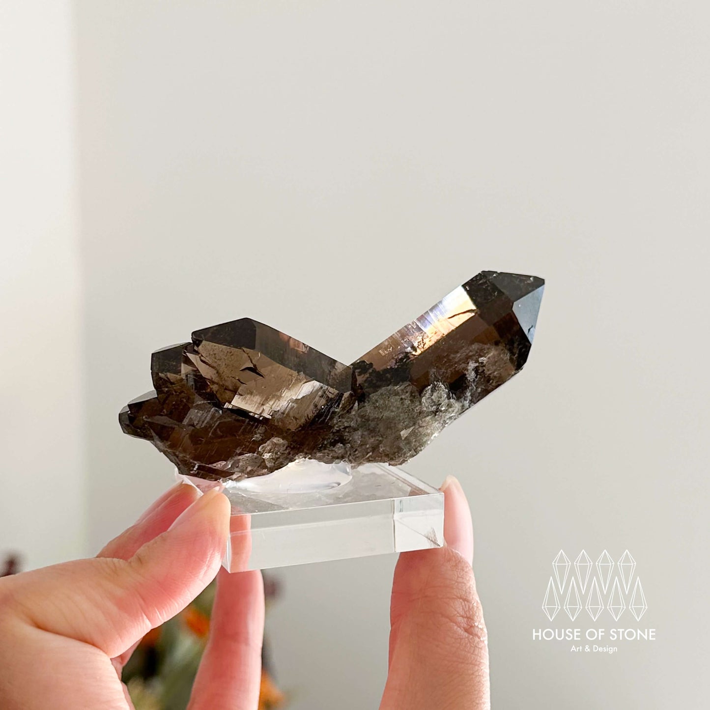 Alpine Mineral Swiss Gwindel Dark Smoky Quartz Specimen/Switzerland Gwindel Apls