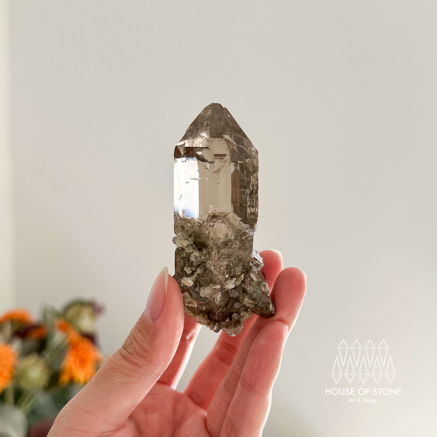 Alpine Mineral Smoky Quartz Point Specimen/Swiss Tower Apls/Double Terminated Quartz Points