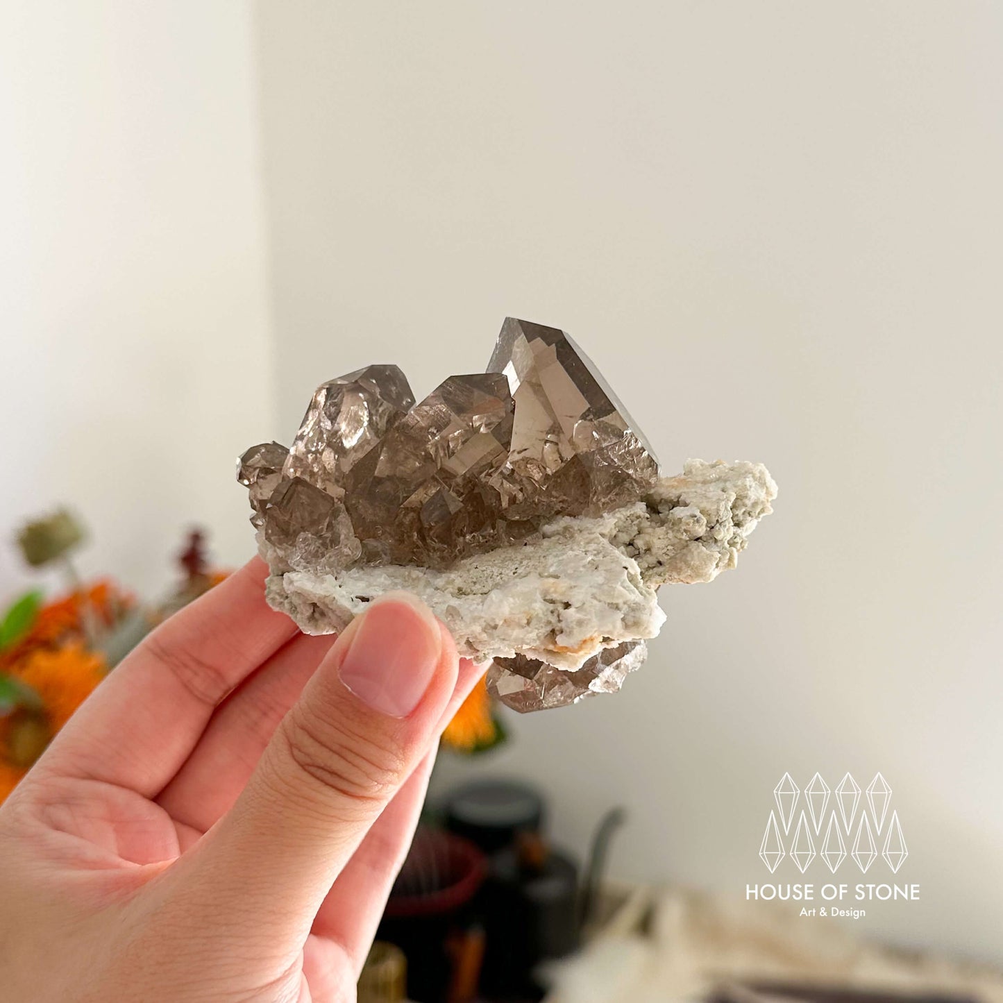 Swiss Smoky Quartz Cluster with Matrix Specimen/Switzerland Smoky Quartz Cluster Apls Specimen/Alpine Mineral/Crystal Cluster with Matrix2