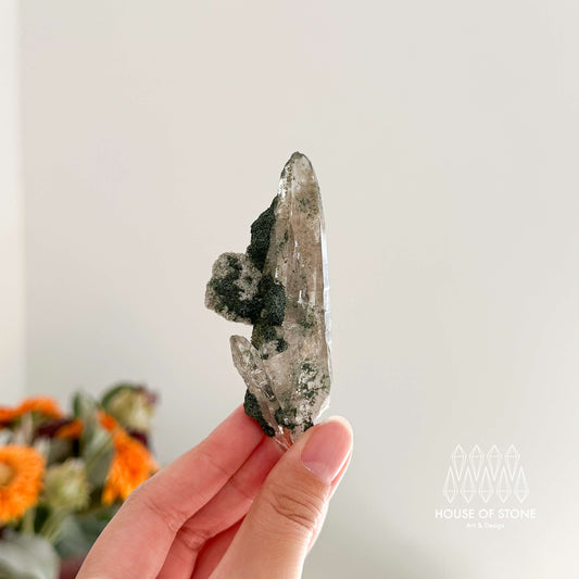 Swiss Tessin Smoky Quartz Point Specimen/Switzerland Ticino Tower/Alpine Mineral/Apls Double Terminated Quartz/Smoky Quartz Cluster with Chlorite