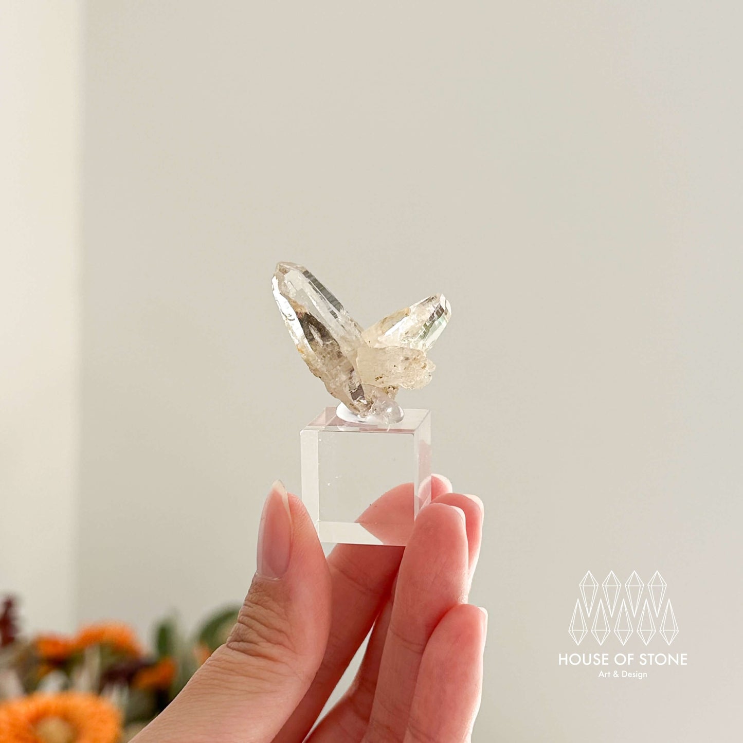 Swiss Mini Tessin Smoky Quartz Point Specimen/Switzerland Ticino Tower/Alpine Mineral/Apls Double Terminated Quartz/Smoky Quartz Cluster