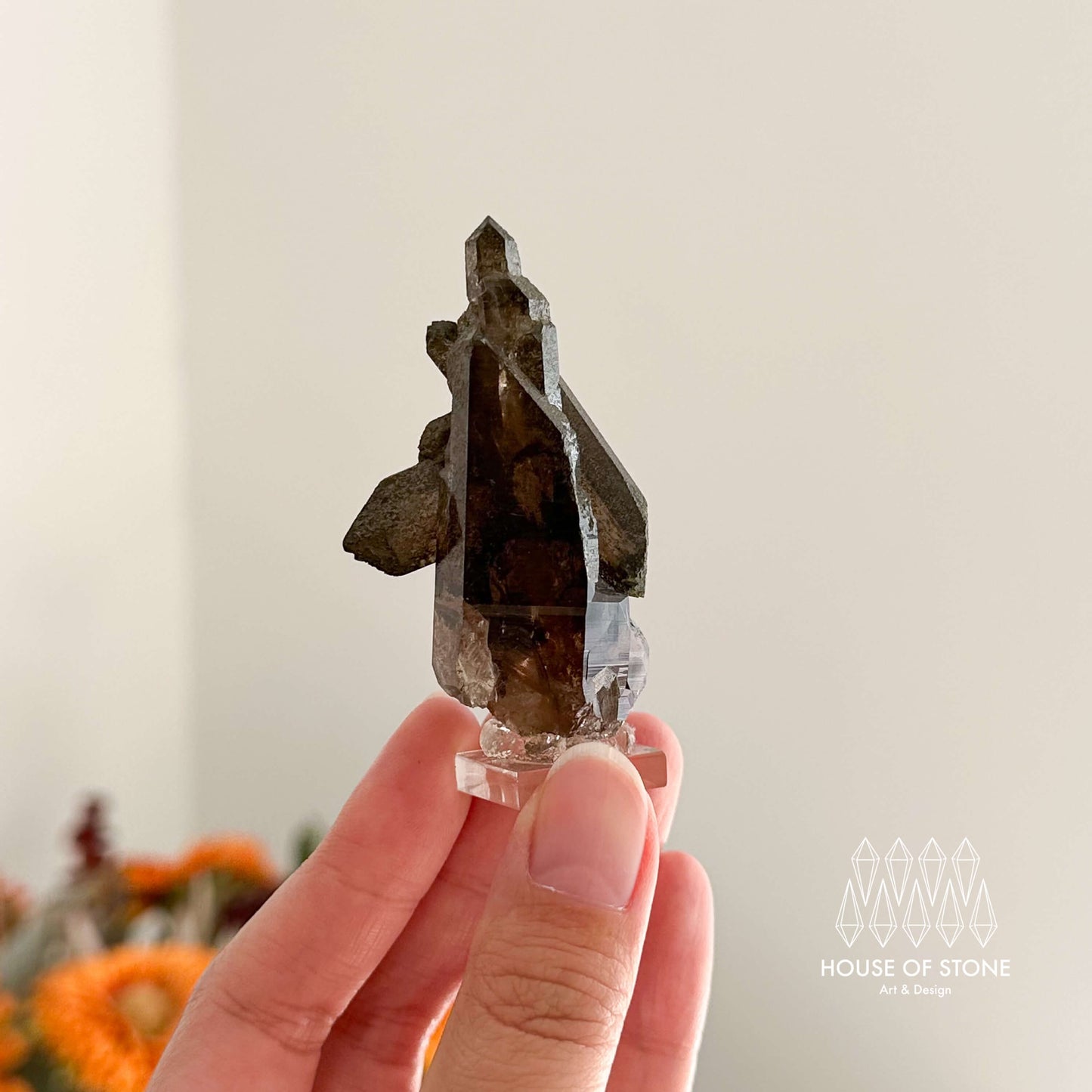 Alpine Mineral Small Swiss Faden Smoky Quartz Specimen/Switzerland Faden Quartz Apls