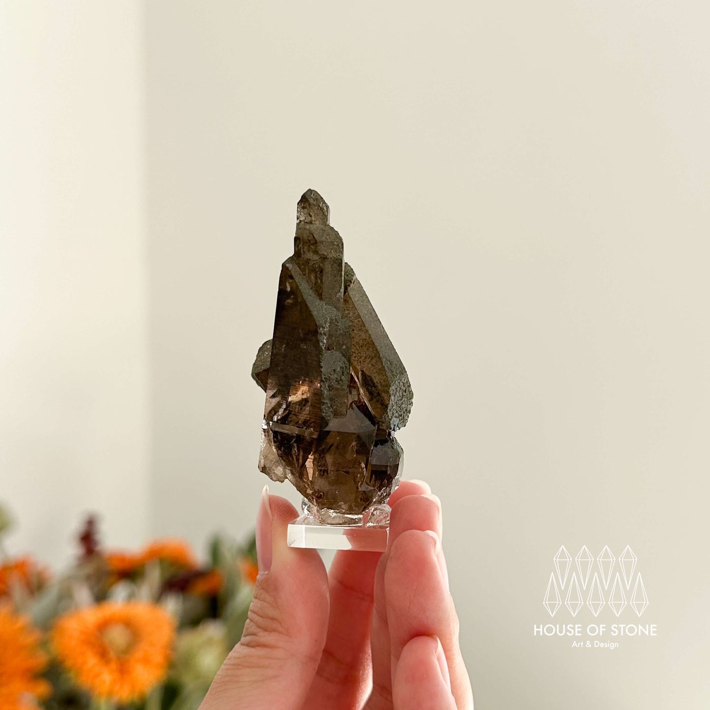 Alpine Mineral Small Swiss Faden Smoky Quartz Specimen/Switzerland Faden Quartz Apls