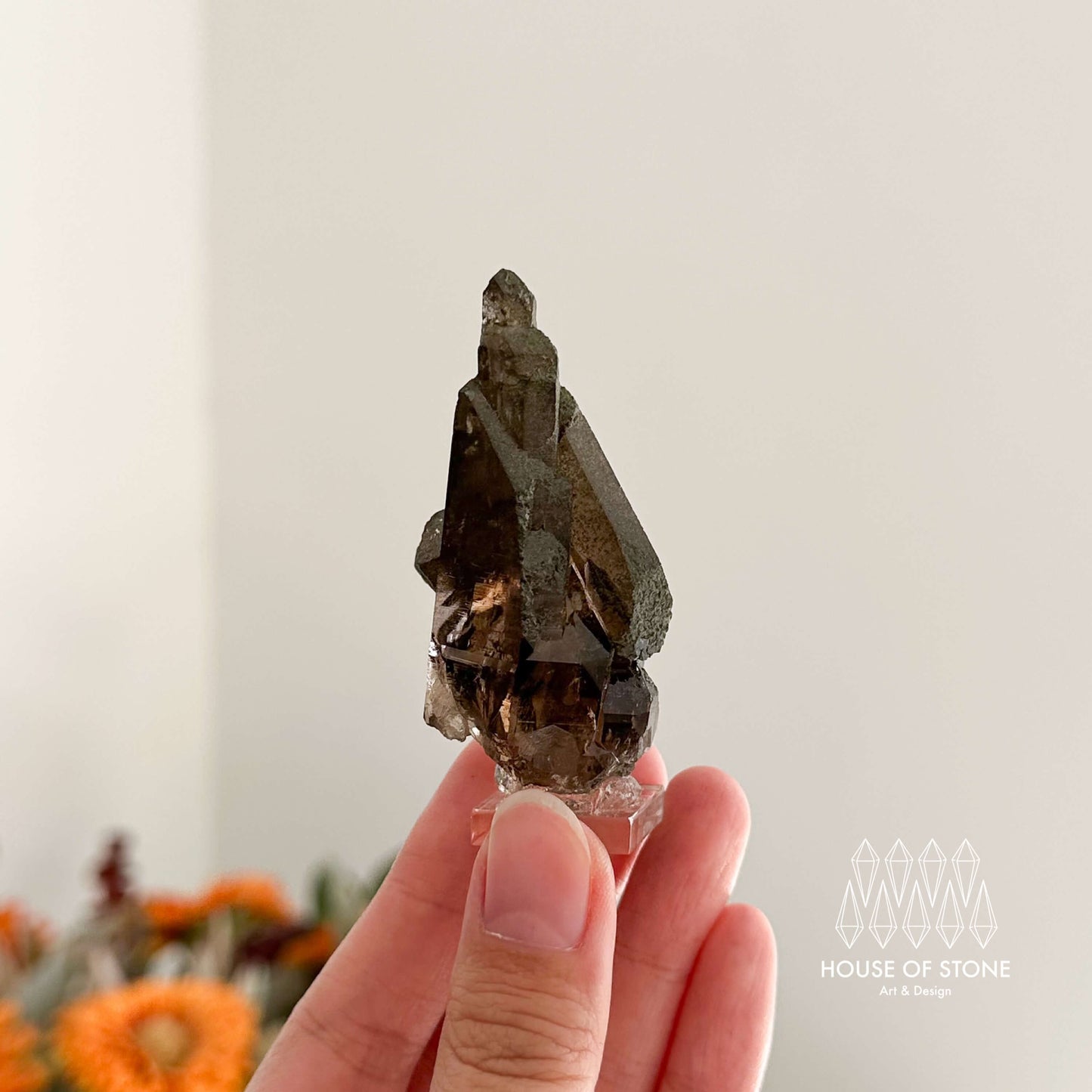 Alpine Mineral Small Swiss Faden Smoky Quartz Specimen/Switzerland Faden Quartz Apls