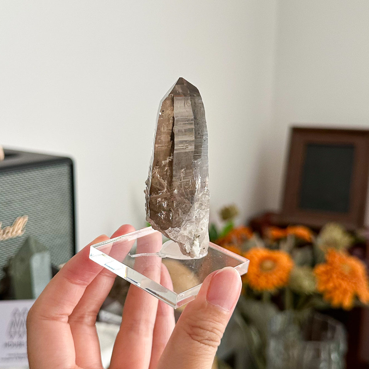 Swiss Tessin Smoky Quartz Point Specimen/Switzerland Ticino Habit Tower/Alpine Mineral/Apls Double Terminated Quartz/Smoky Quartz Cluster3
