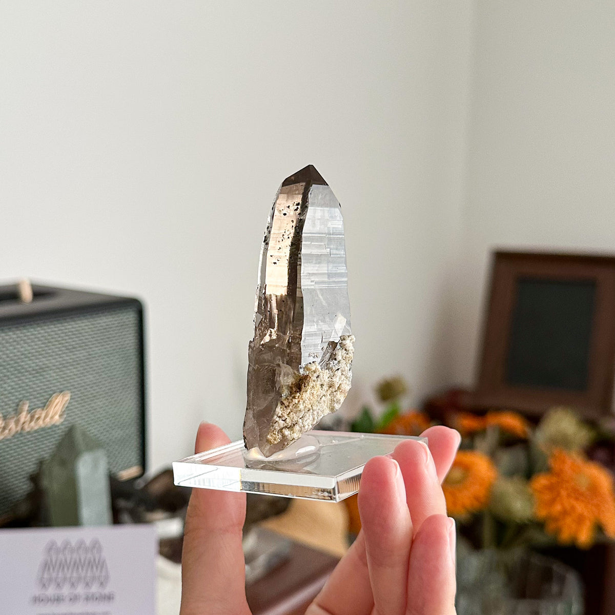 Swiss Tessin Smoky Quartz Point Specimen/Switzerland Ticino Habit Tower/Alpine Mineral/Apls Double Terminated Quartz/Smoky Quartz Cluster3
