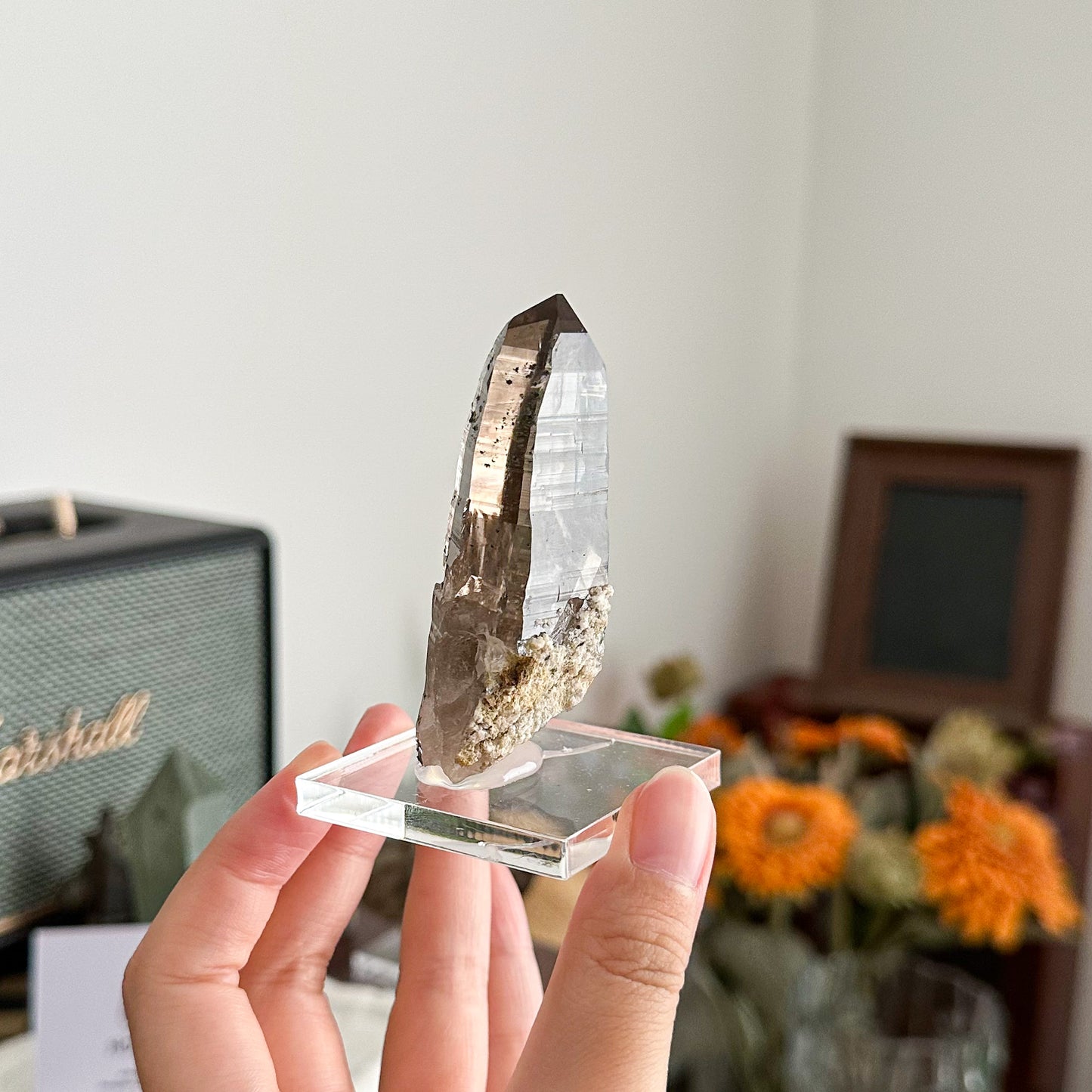 Swiss Tessin Smoky Quartz Point Specimen/Switzerland Ticino Habit Tower/Alpine Mineral/Apls Double Terminated Quartz/Smoky Quartz Cluster3