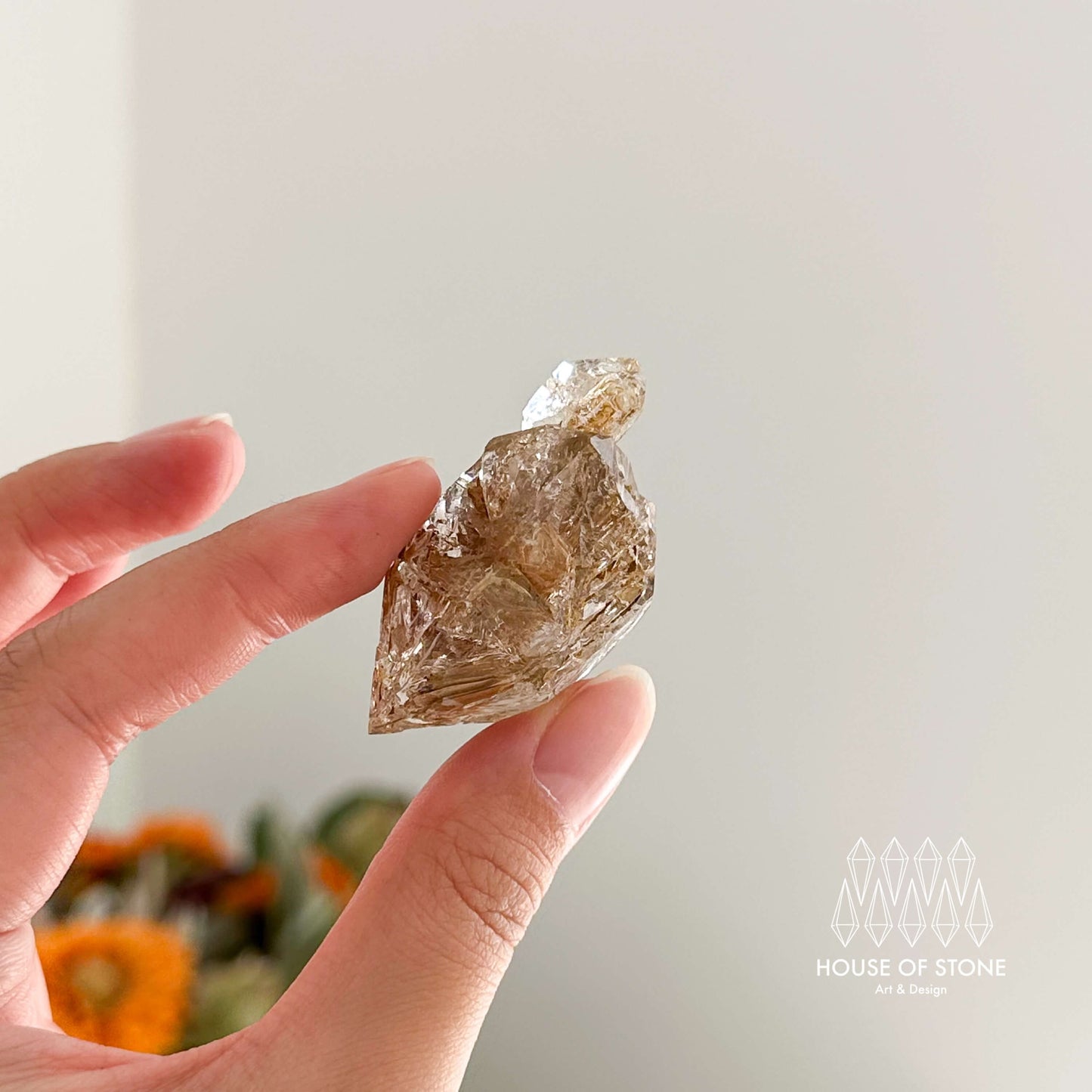 Swiss Skeletal Quartz Point Specimen/Switzerland Crystal Alpine Skeletal Quartz Mud Inclusions Mineral/Apls Double Terminated Window Quartz