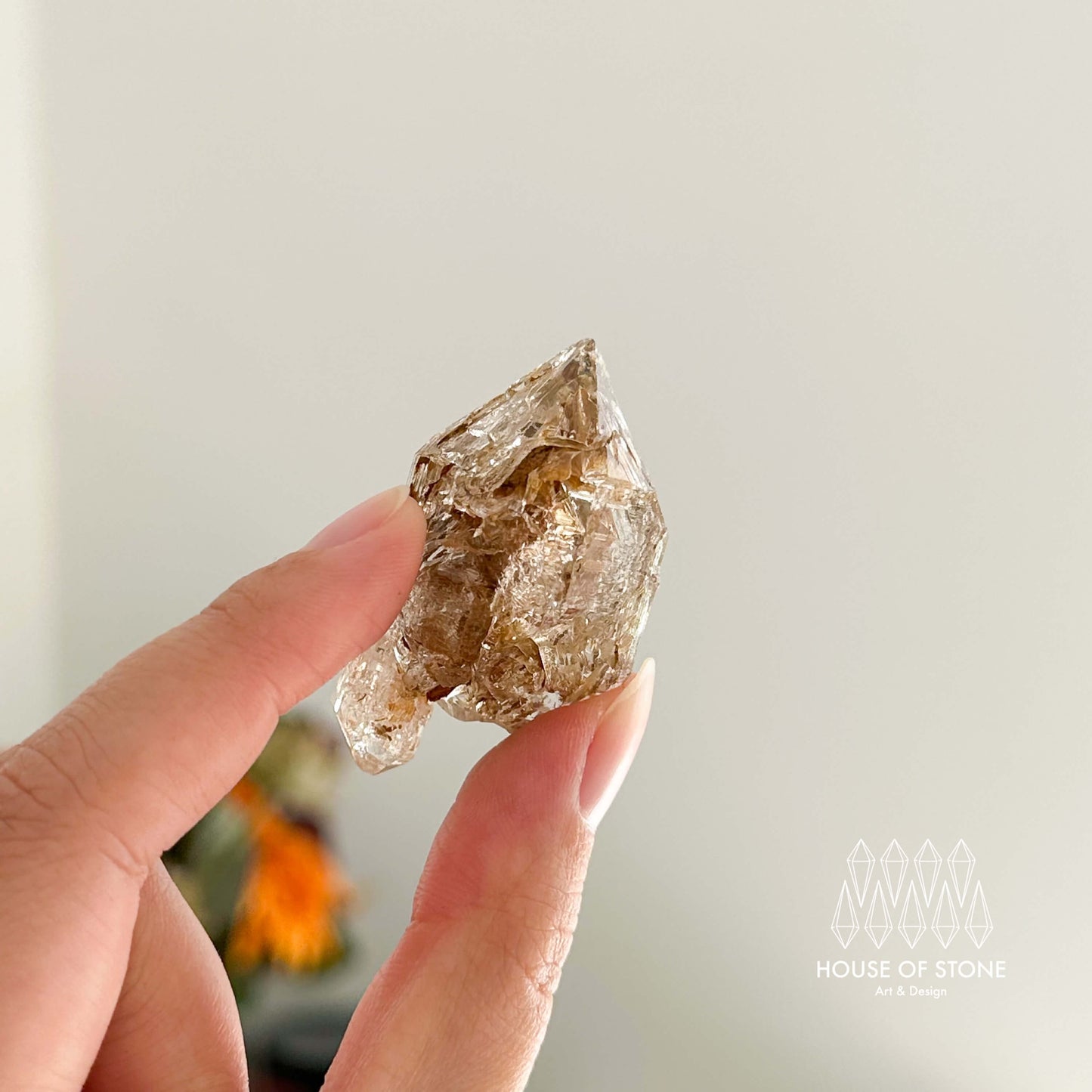 Swiss Skeletal Quartz Point Specimen/Switzerland Crystal Alpine Skeletal Quartz Mud Inclusions Mineral/Apls Double Terminated Window Quartz