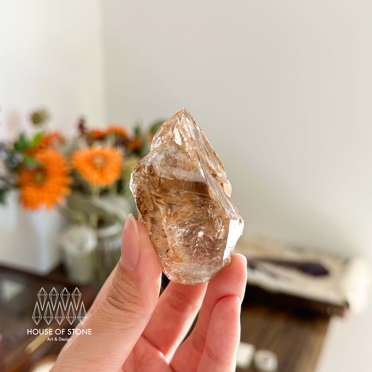 Swiss Skeletal Quartz Point Specimen/Switzerland Crystal Alpine Skeletal Quartz Mud Inclusions Mineral/Apls Double Terminated Window Quartz3