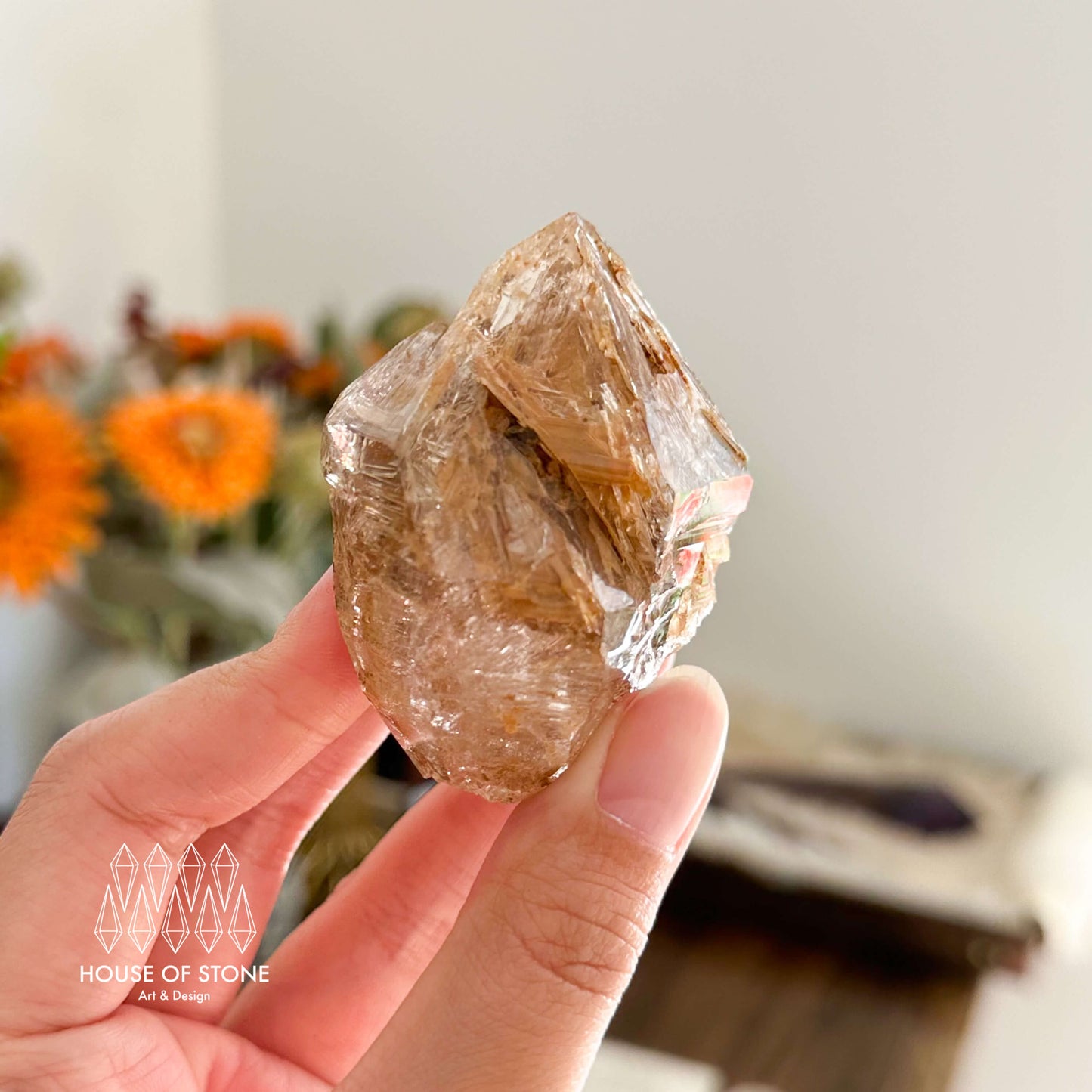 Swiss Skeletal Quartz Point Specimen/Switzerland Crystal Alpine Skeletal Quartz Mud Inclusions Mineral/Apls Double Terminated Window Quartz3