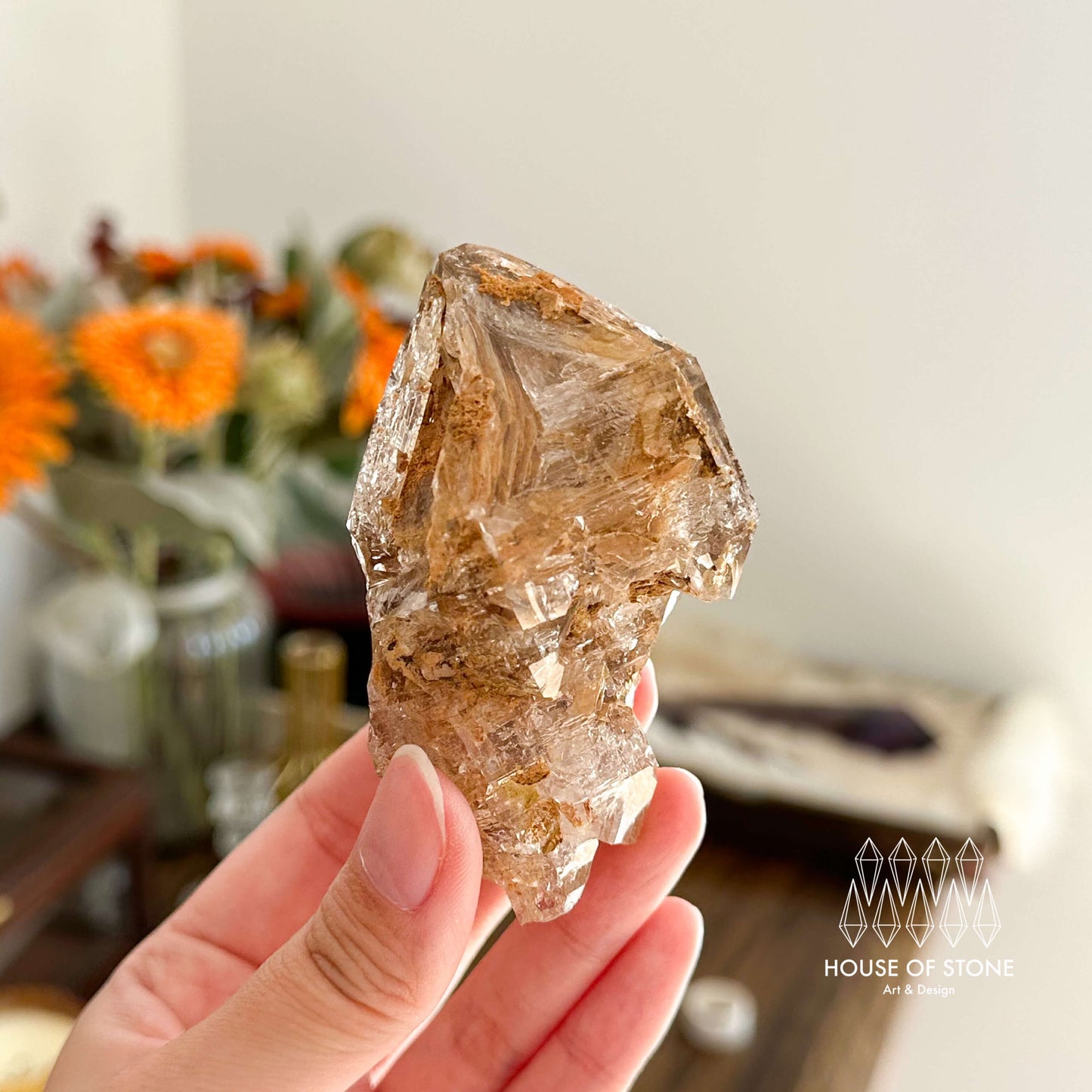 Swiss Skeletal Quartz Point Specimen/Switzerland Crystal Alpine Skeletal Quartz Mud Inclusions Mineral/Apls Double Terminated Window Quartz4