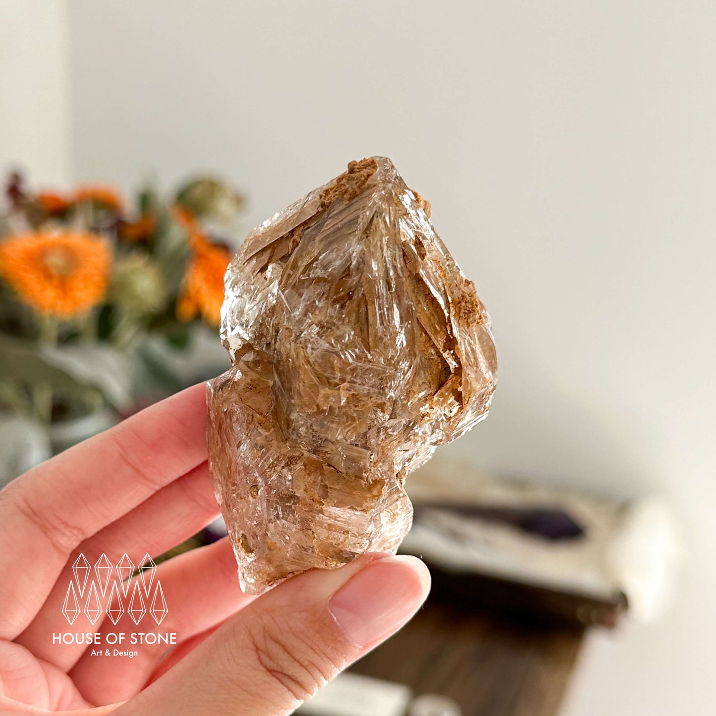 Swiss Skeletal Quartz Point Specimen/Switzerland Crystal Alpine Skeletal Quartz Mud Inclusions Mineral/Apls Double Terminated Window Quartz4