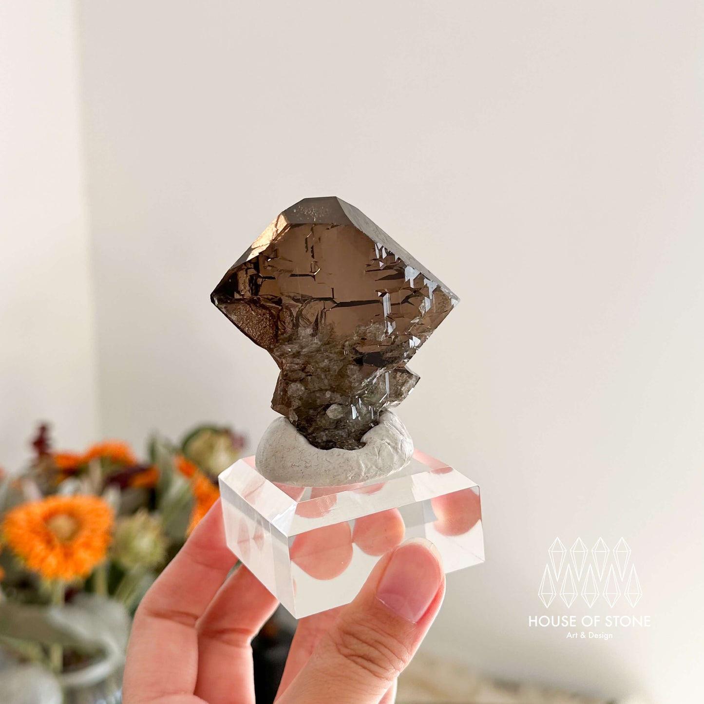 Alpine Mineral Swiss Gwindel Dark Smoky Quartz Specimen/Switzerland Gwindel Apls