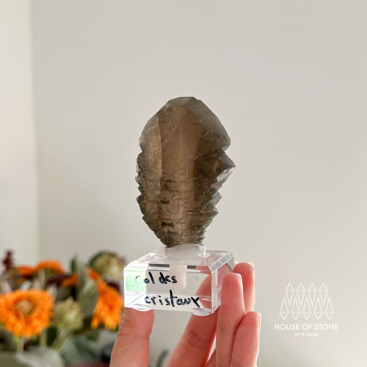 Alpine Mineral Swiss Gwindel Dark Smoky Quartz Specimen/Switzerland Gwindel Apls