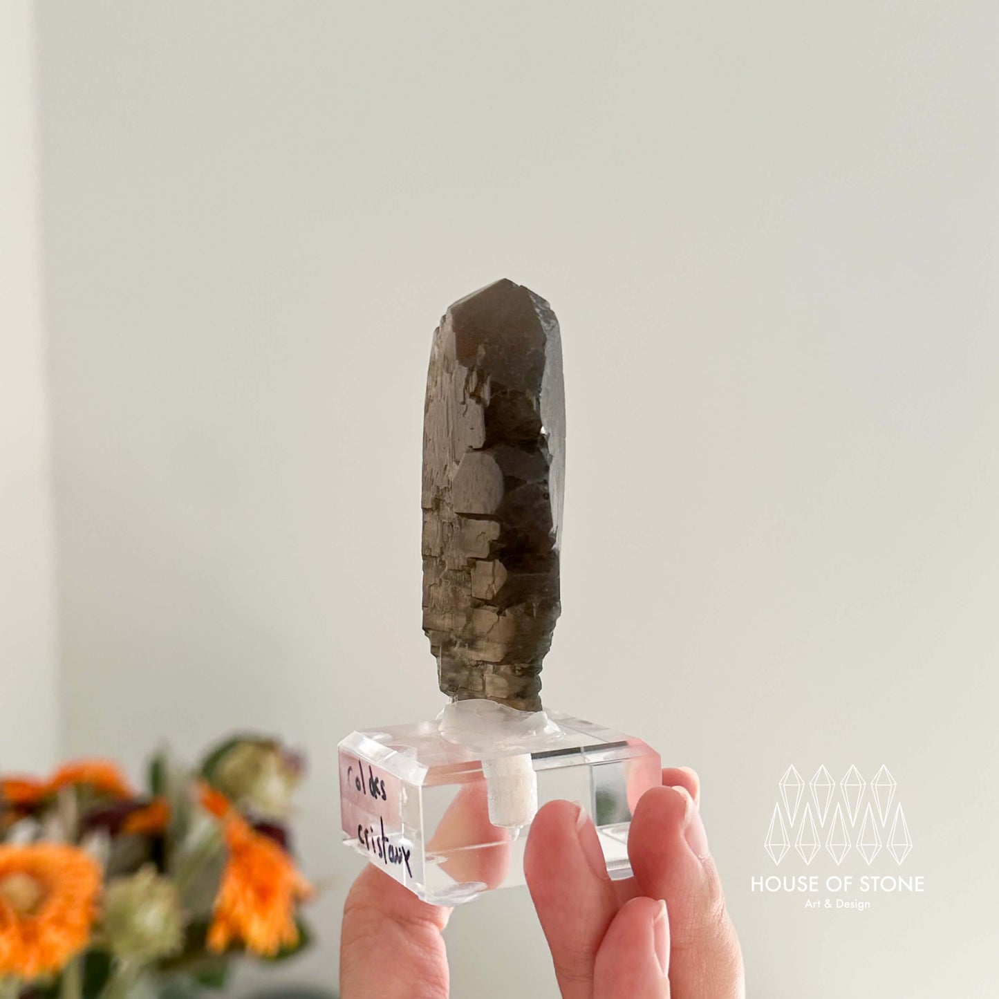 Alpine Mineral Swiss Gwindel Dark Smoky Quartz Specimen/Switzerland Gwindel Apls