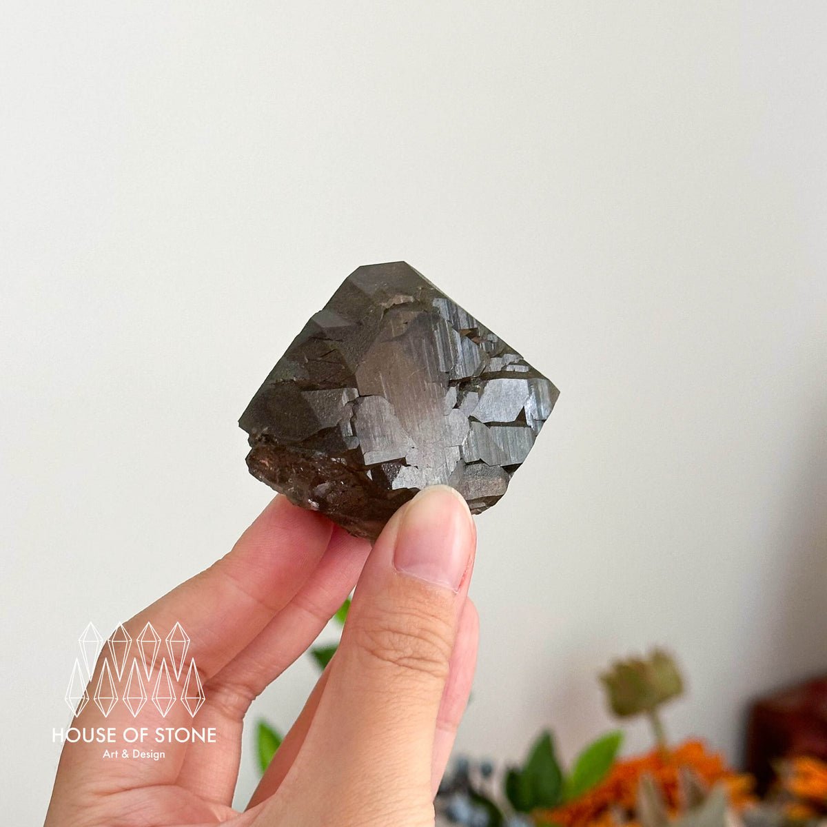 Alpine Mineral Swiss Gwindel Dark Smoky Quartz Specimen/Switzerland Gwindel Apls Crystal