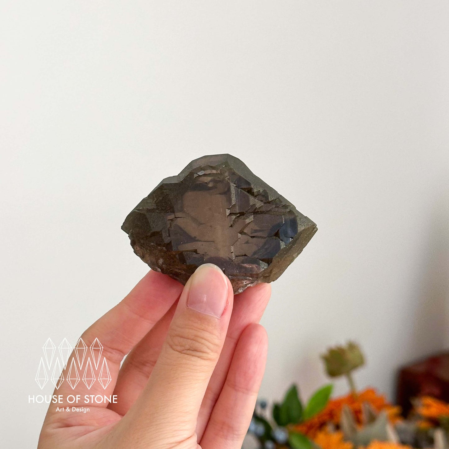 Alpine Mineral Swiss Gwindel Dark Smoky Quartz Specimen/Switzerland Gwindel Apls Crystal