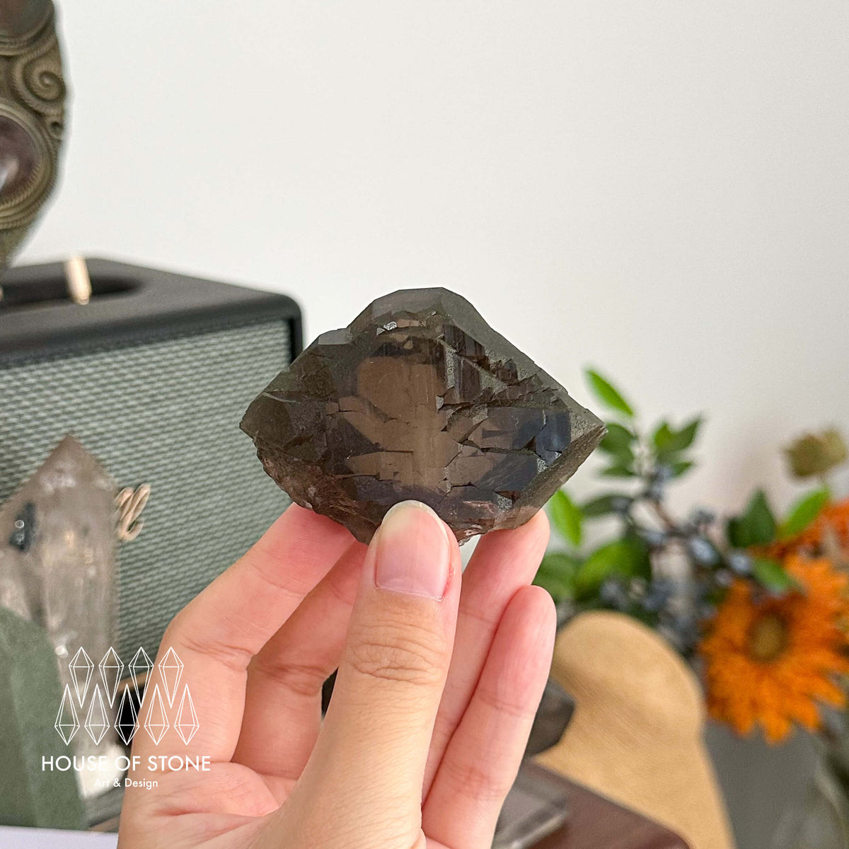 Alpine Mineral Swiss Gwindel Dark Smoky Quartz Specimen/Switzerland Gwindel Apls Crystal