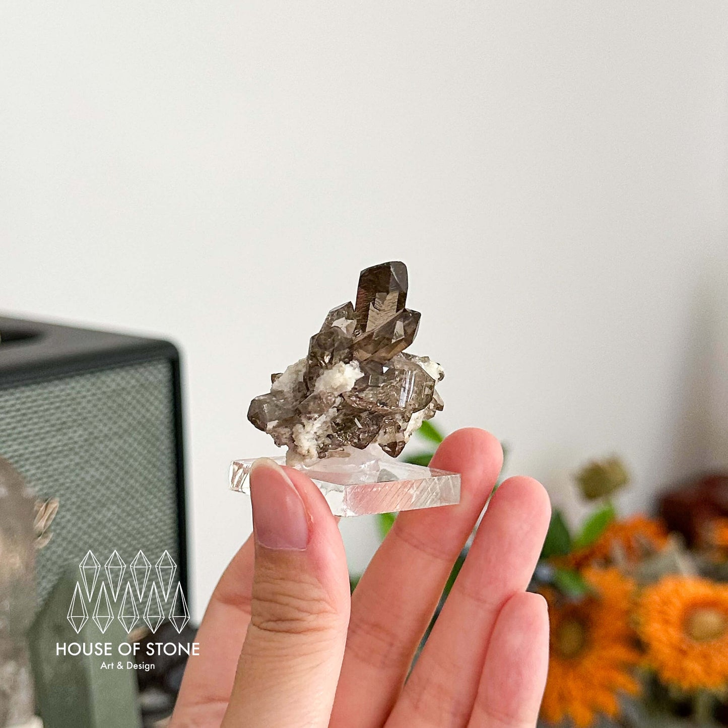 Alpine Mineral Dark Smoky Quartz Point Cluster Specimen/Small Swiss Cluster Apls/Double Terminated Quartz Cluster