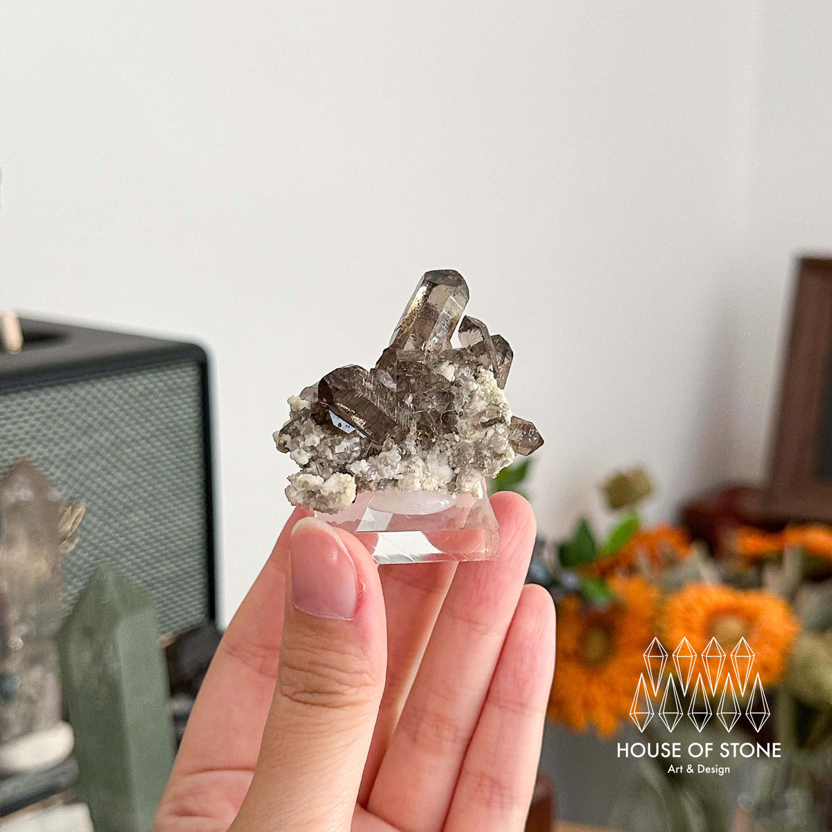 Alpine Mineral Dark Smoky Quartz Point Cluster Specimen/Small Swiss Cluster Apls/Double Terminated Quartz Cluster