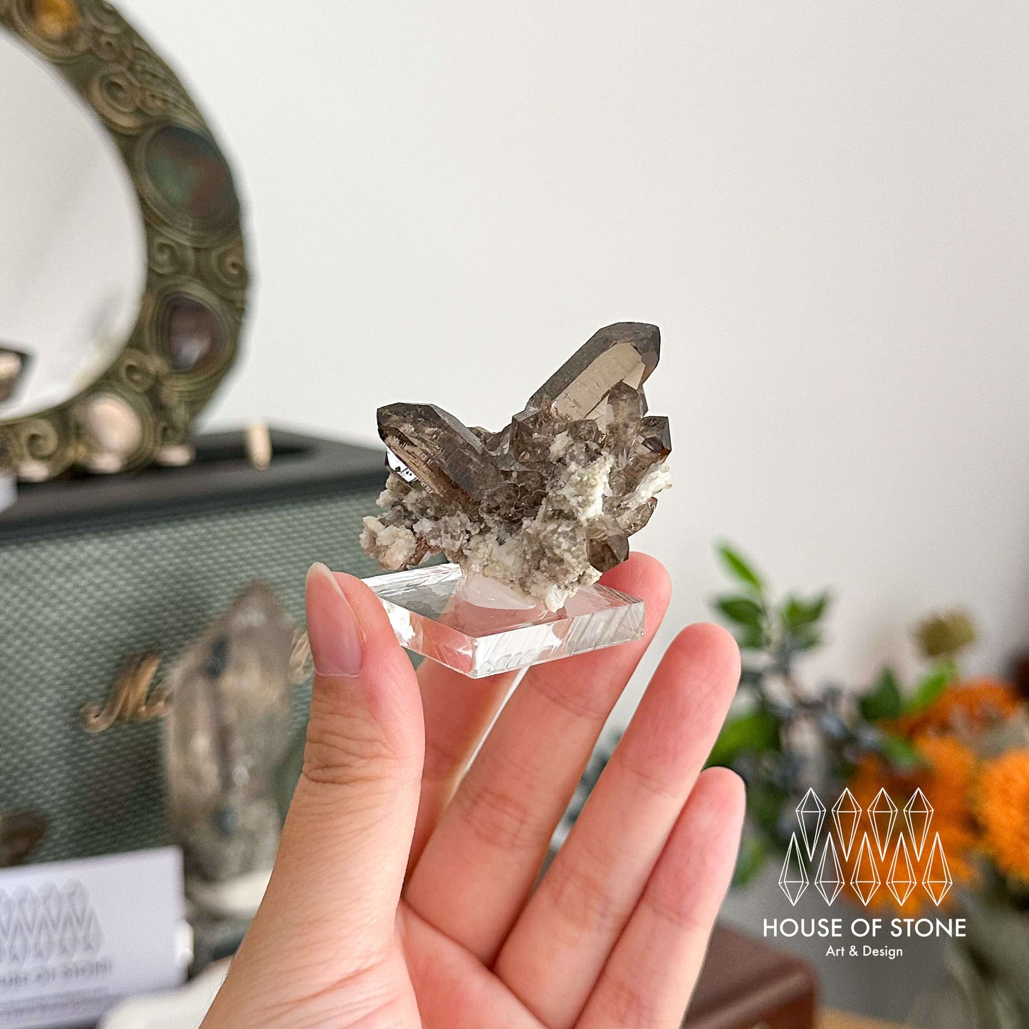 Alpine Mineral Dark Smoky Quartz Point Cluster Specimen/Small Swiss Cluster Apls/Double Terminated Quartz Cluster