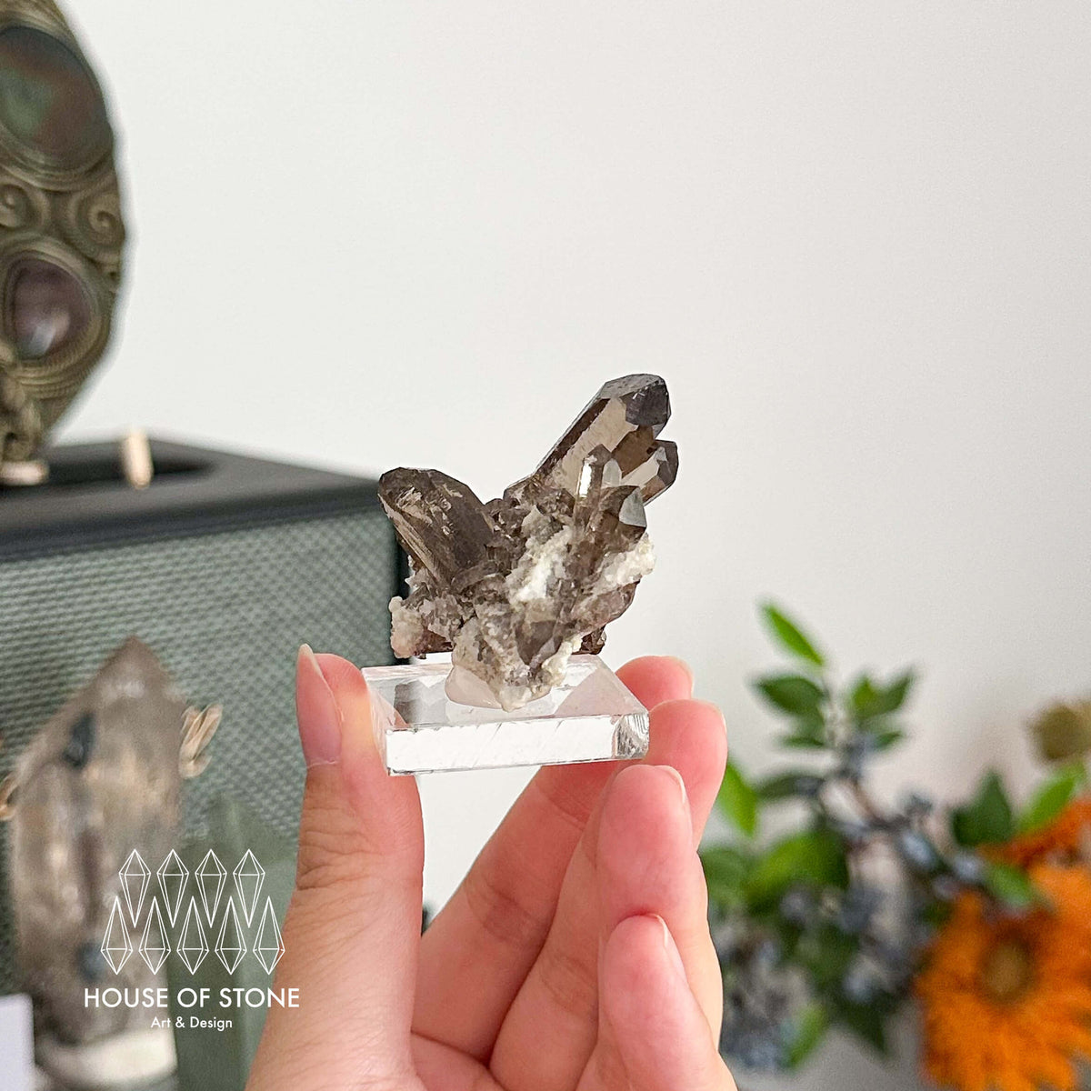 Alpine Mineral Dark Smoky Quartz Point Cluster Specimen/Small Swiss Cluster Apls/Double Terminated Quartz Cluster