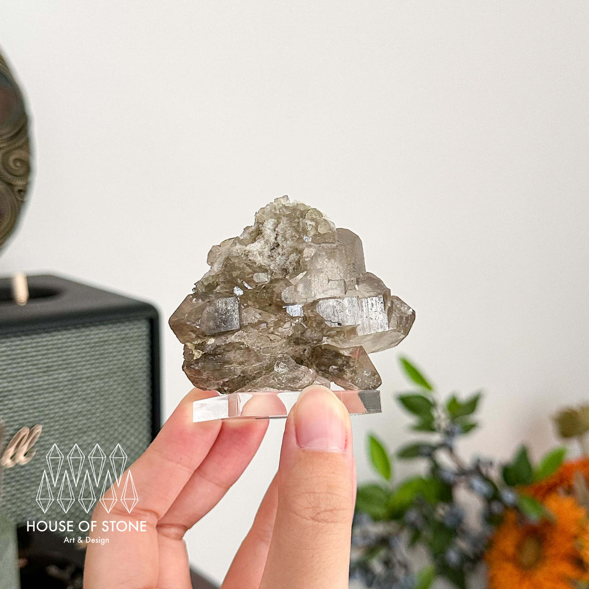 Alpine Mineral Gwindel Smoky Quartz Gwindel Specimen/Mont Blanc France Gwindel Apls