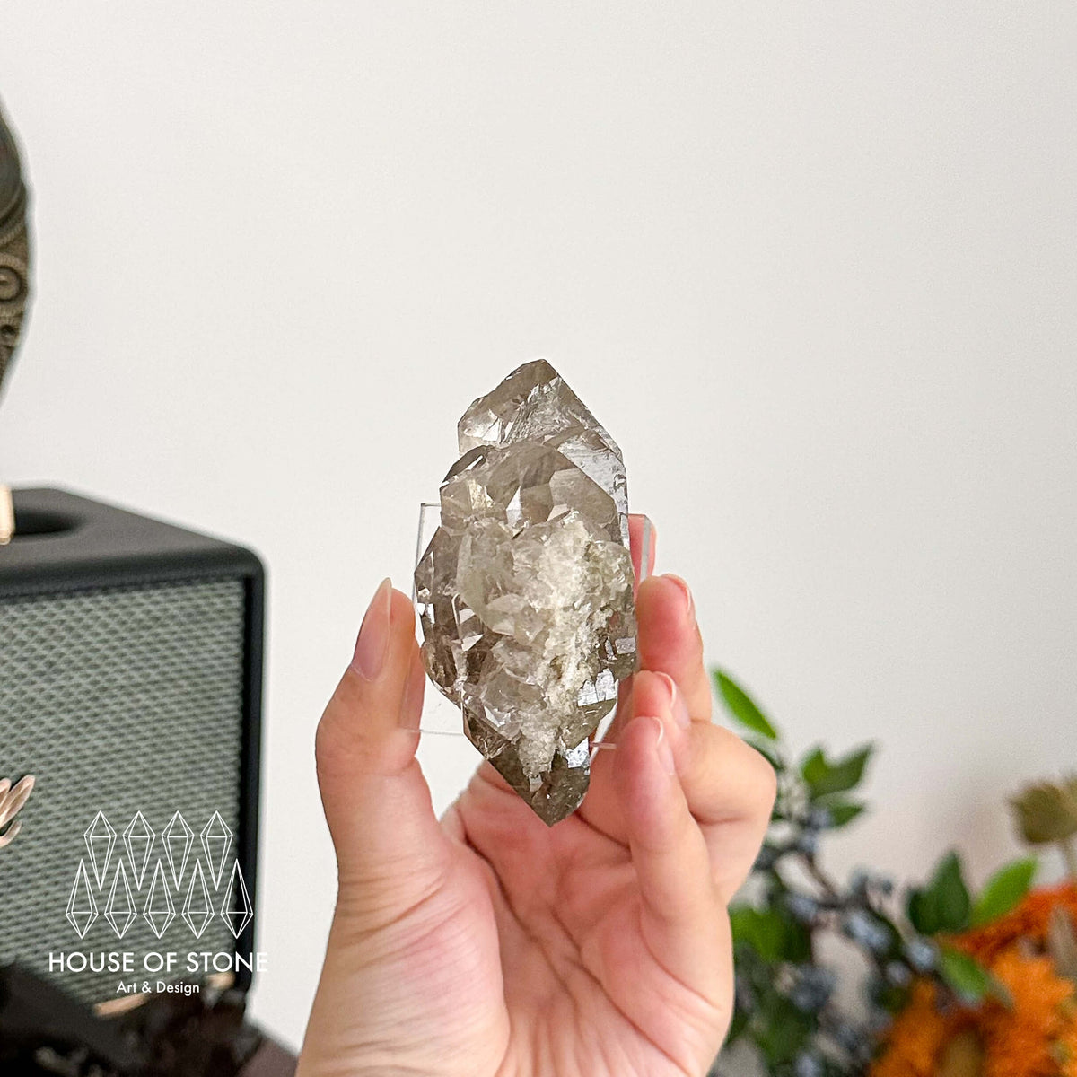 Alpine Mineral Gwindel Smoky Quartz Gwindel Specimen/Mont Blanc France Gwindel Apls