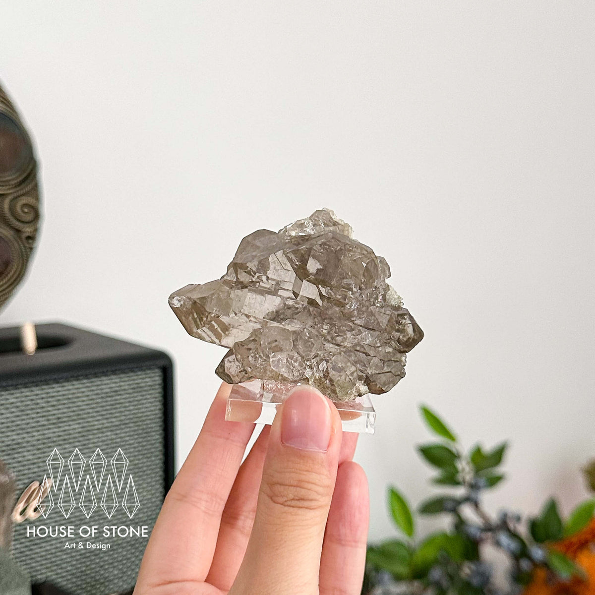 Alpine Mineral Gwindel Smoky Quartz Gwindel Specimen/Mont Blanc France Gwindel Apls