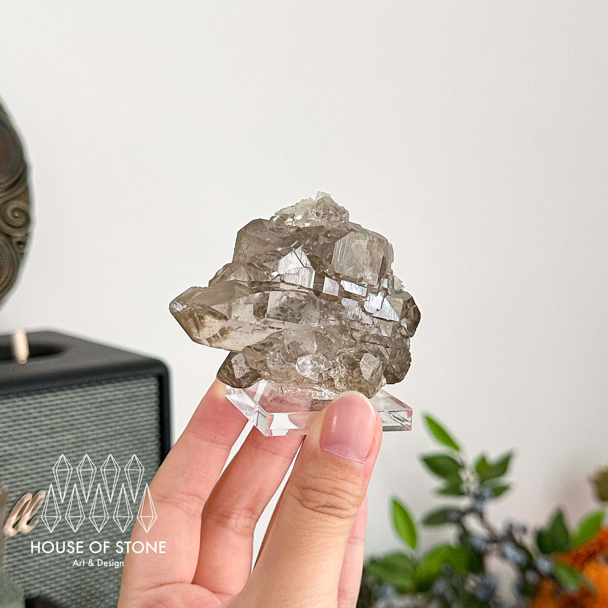 Alpine Mineral Gwindel Smoky Quartz Gwindel Specimen/Mont Blanc France Gwindel Apls