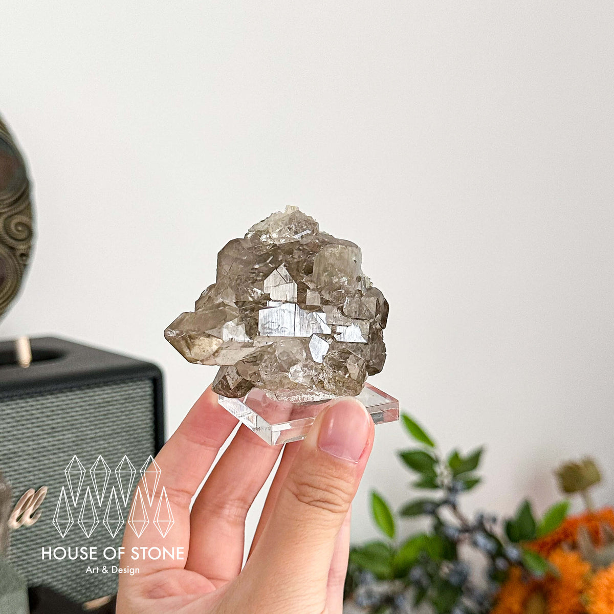 Alpine Mineral Gwindel Smoky Quartz Gwindel Specimen/Mont Blanc France Gwindel Apls