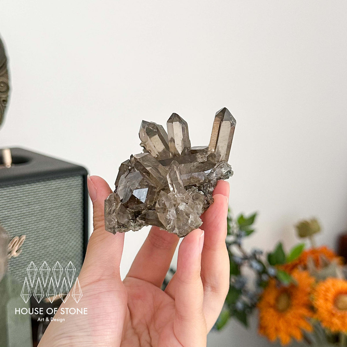 Alpine Mineral Light Smoky Quartz Point Cluster Specimen/Swiss Cluster Apls/Double Terminated Quartz Cluster