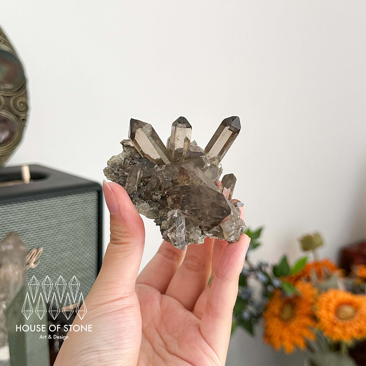 Alpine Mineral Light Smoky Quartz Point Cluster Specimen/Swiss Cluster Apls/Double Terminated Quartz Cluster