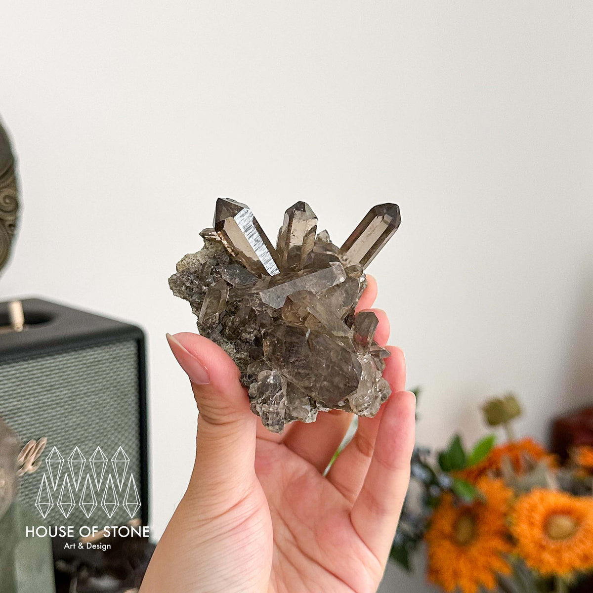Alpine Mineral Light Smoky Quartz Point Cluster Specimen/Swiss Cluster Apls/Double Terminated Quartz Cluster