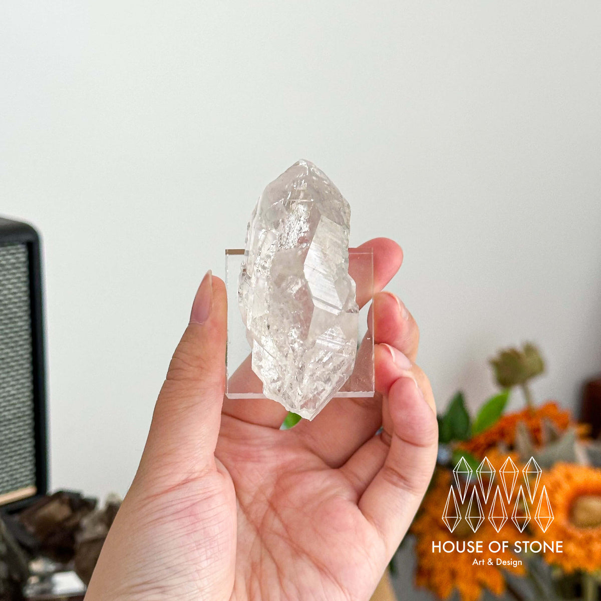 Alpine Mineral Gwindel Clear Quartz Specimen/Chamonix-Mont-Blanc France Gwindel/Apls Crystal