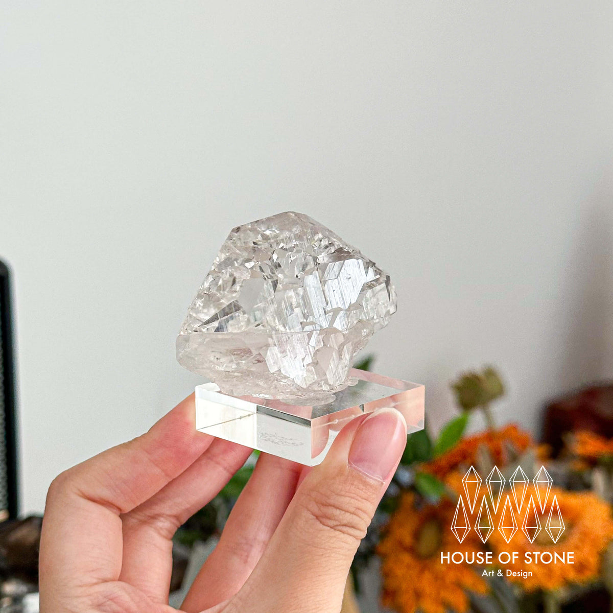 Alpine Mineral Gwindel Clear Quartz Specimen/Chamonix-Mont-Blanc France Gwindel/Apls Crystal